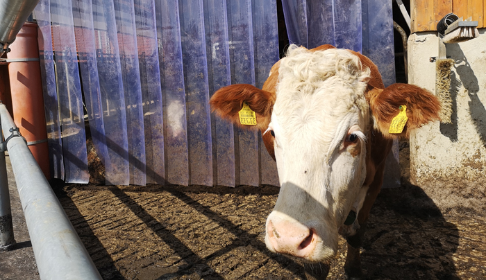 Landwirtschaft / Agrar Landwirtschaft / Agrar